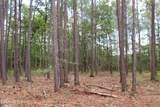3231 Orchard Creek Road - Photo 13