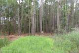 3231 Orchard Creek Road - Photo 8