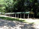1601 Black River Lane - Photo 41