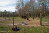 1560 White Oak River Road - Photo 151