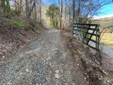 Lot 9 Ivy Log Road - Photo 15