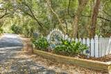 23 Ibis Roost - Photo 3