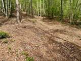 27 Ac Rainy Farm Road - Photo 10