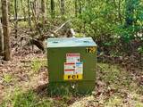 27 Ac Rainy Farm Road - Photo 11