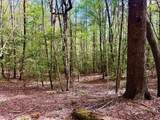 27 Ac Rainy Farm Road - Photo 2