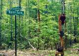 27 Ac Rainy Farm Road - Photo 3
