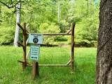 27 Ac Rainy Farm Road - Photo 4