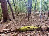 27 Ac Rainy Farm Road - Photo 5