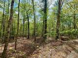 27 Ac Rainy Farm Road - Photo 8