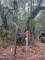 8 Leopard Frog Court - Photo 2