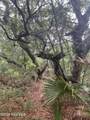 8 Leopard Frog Court - Photo 6