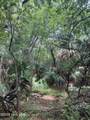 8 Leopard Frog Court - Photo 8