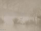 0 Durwood Evans Road - Photo 10
