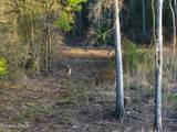 0 Durwood Evans Road - Photo 60