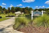 310 Sassafras Lane - Photo 4