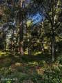 2425 Sunset Harbor Road - Photo 5