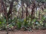 4 Dowitcher Trail - Photo 3