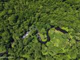Lot 2 Bass Lake Road - Photo 1
