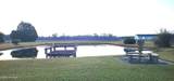 1553 Nc 41 Highway - Photo 18