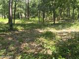 3183 Mullet Creek Place - Photo 5