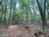 2200 Candy Mountain Road - Photo 3