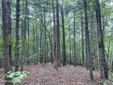 2200 Candy Mountain Road - Photo 7