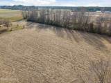 5238 Us 17 Highway - Photo 11