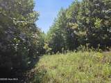 Lot 69 Collins Court - Photo 6