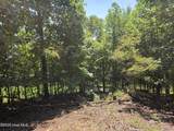 Lot 69 Collins Court - Photo 7