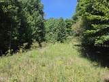 Lot 69 Collins Court - Photo 8