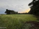 Lot 9 Point Caswell Road - Photo 7