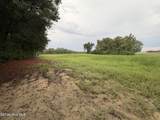 Lot 9 Point Caswell Road - Photo 9
