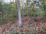 166 Qualla Trail - Photo 28