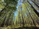 Lot 5 Mixon Creek Drive - Photo 24
