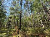 Lot 5 Mixon Creek Drive - Photo 25