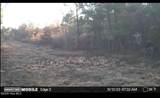 0 River Road - Photo 4