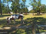 112 Shady Wood Court - Photo 36