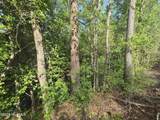 Tbd Cabins Creek Road - Photo 2