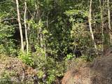 Tbd Cabins Creek Road - Photo 3