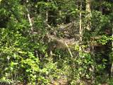 Tbd Cabins Creek Road - Photo 6