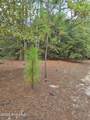 317 R J Johnson Road - Photo 1