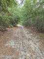 317 R J Johnson Road - Photo 7