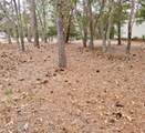 3317 Marlin Drive - Photo 1