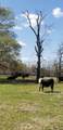 716 Augusta Road - Photo 17