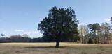716 Augusta Road - Photo 3