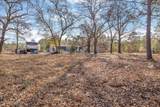 1705 Colon Mintz Road - Photo 38