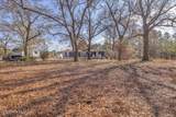1705 Colon Mintz Road - Photo 39