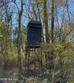 0 Fred Circle - Photo 3
