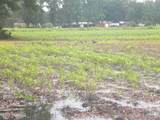 Tbd Conetoe Road - Photo 5