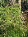 0 Tomotla Road - Photo 2